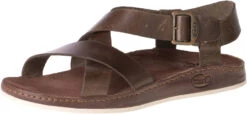 Chaco Women's Wayfarer Sandal - Otter/Brown