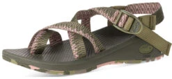 Chaco Women's ZCLOUD 2 Sandal - Foster Aloe/Olive